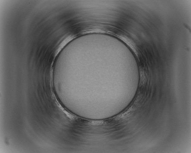 X0000097761290200804041117