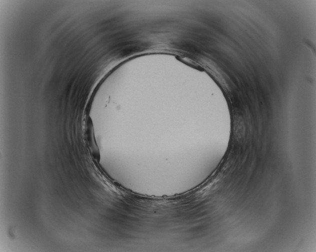 X0000097761292200804041117