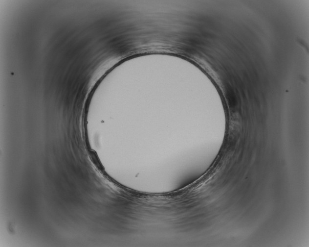 X0000097761293200804041117