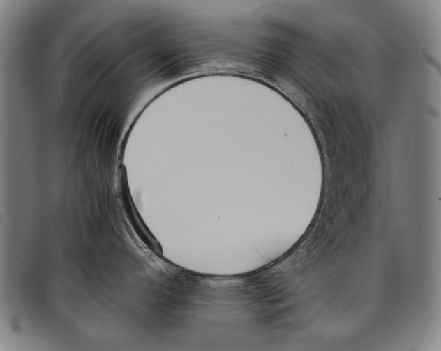 X0000097761296200804041117