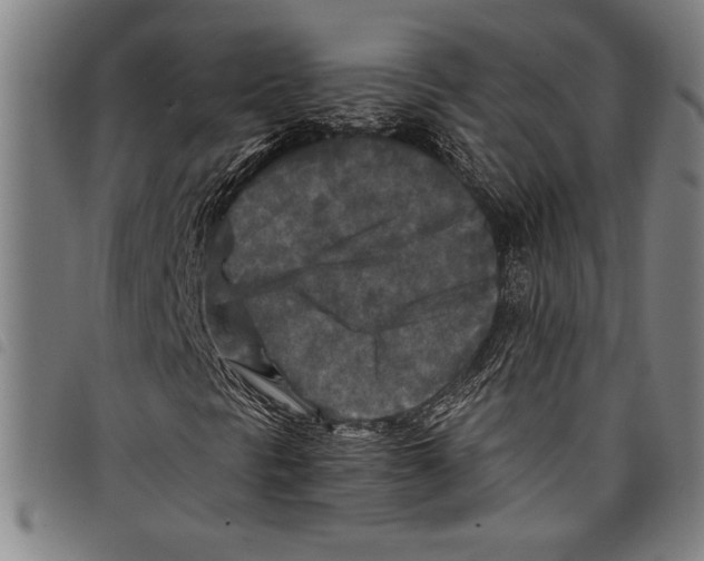 X0000097761297200804041116