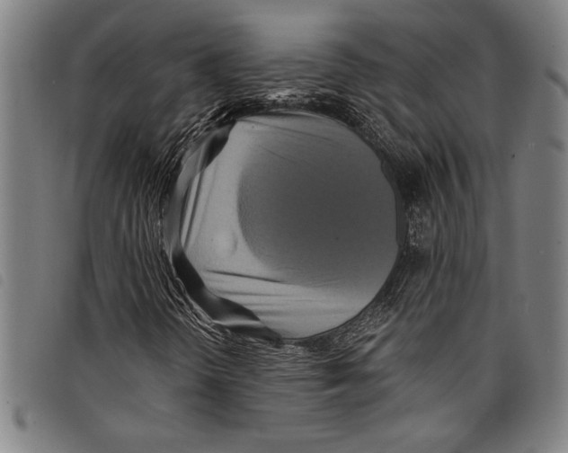 X0000097761298200804041116