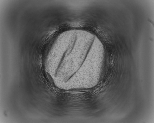 X0000097761301200804041116