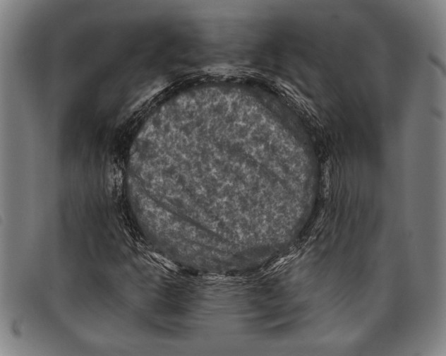 X0000097761302200804041116