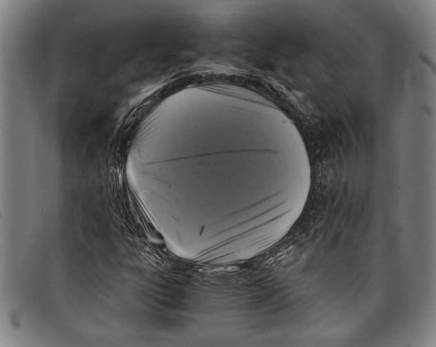 X0000097761303200804041116