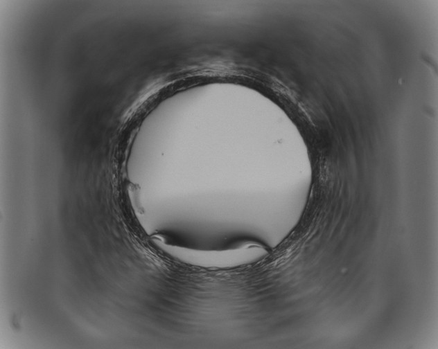 X0000097761304200804041116