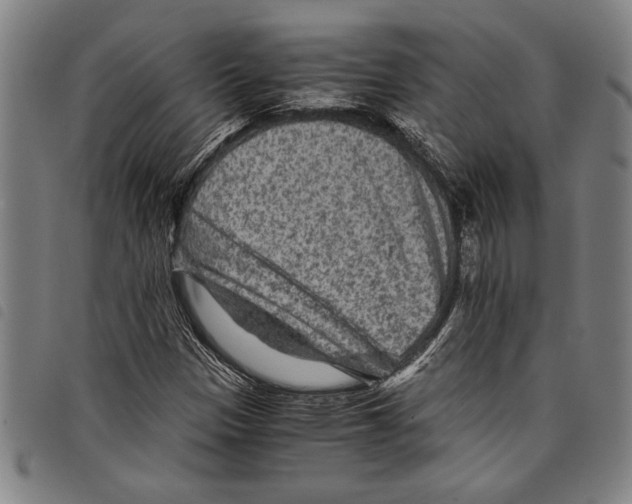 X0000097761305200804041116