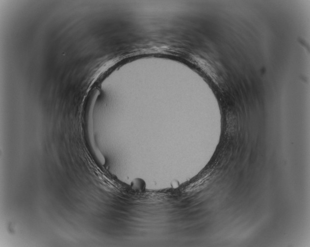 X0000097761308200804041116