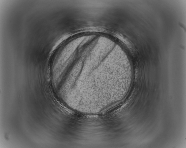 X0000097761310200804041116