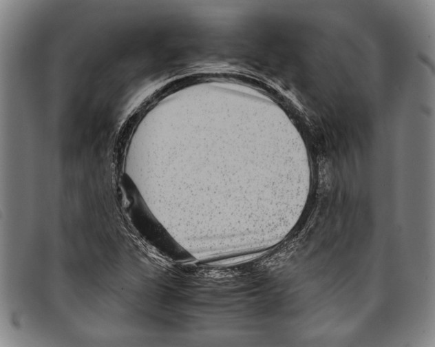 X0000097761311200804041117