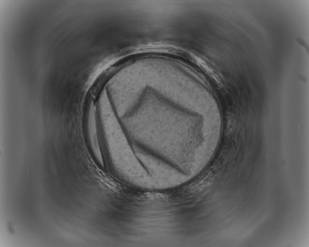 X0000097761312200804041117