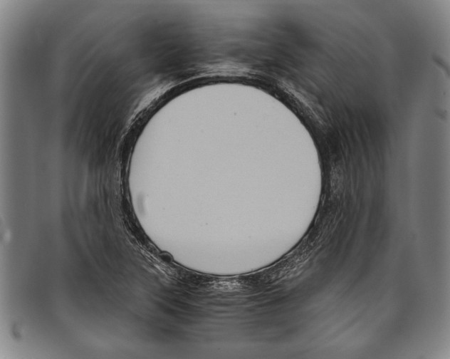 X0000097761315200804041117