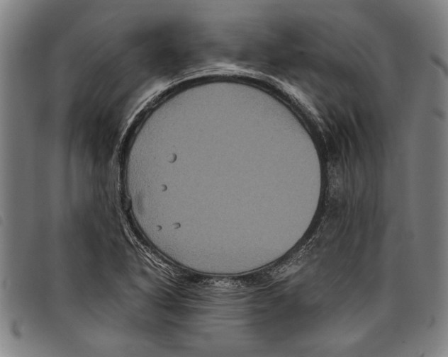 X0000097761318200804041117