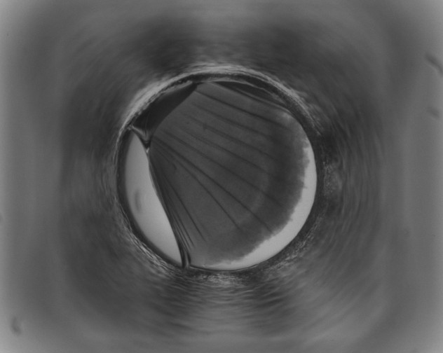 X0000097761319200804041117