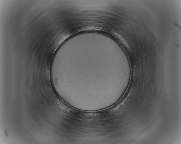 X0000097761321200804041117