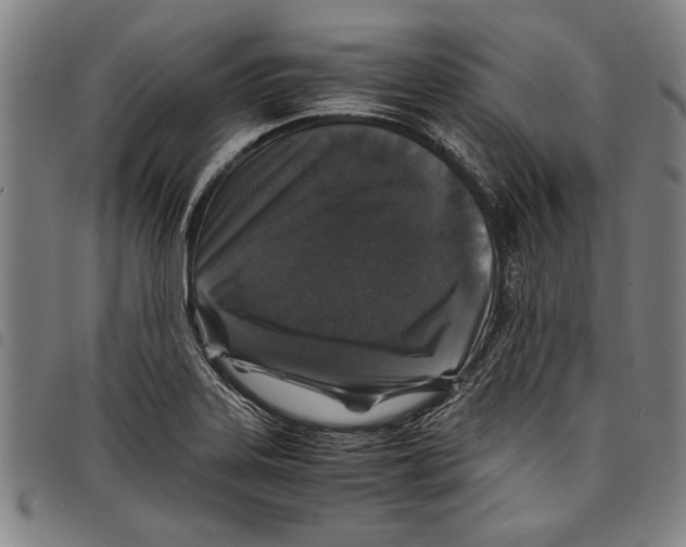 X0000097761323200804041117