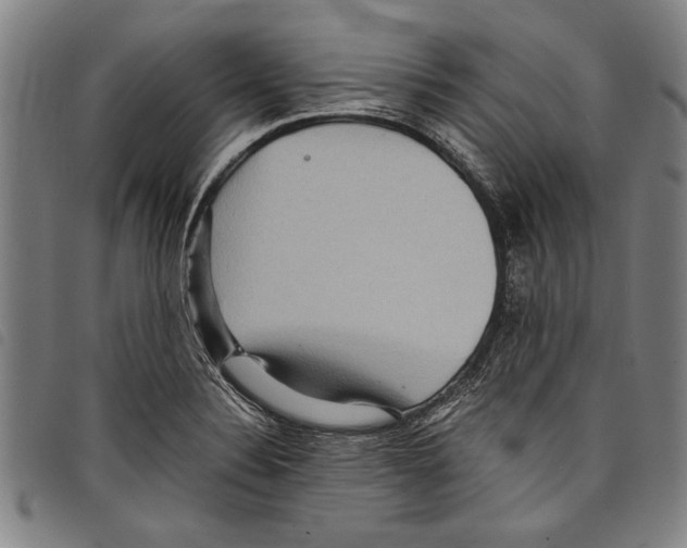 X0000097761324200804041117