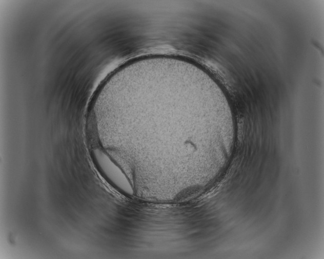 X0000097761326200804041117