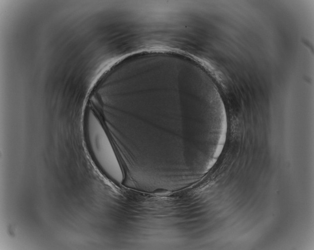 X0000097761327200804041117