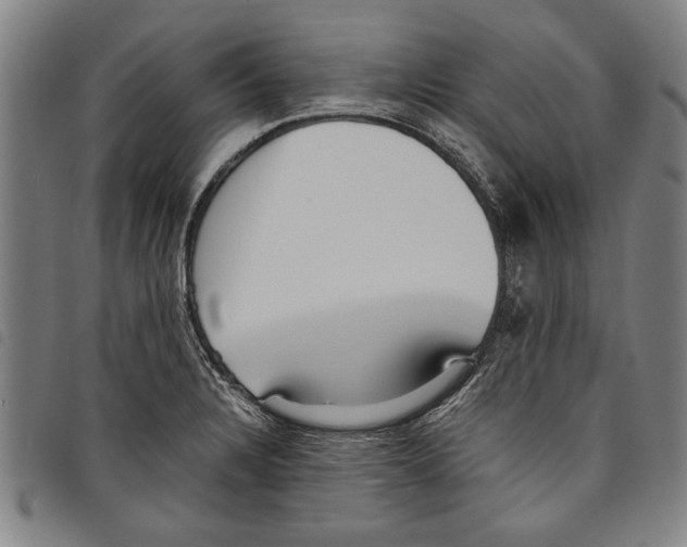 X0000097761328200804041117