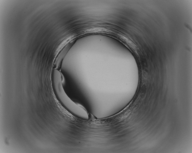 X0000097761330200804041117