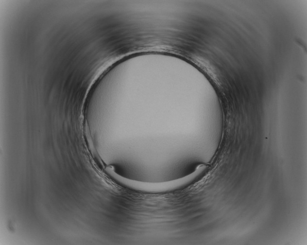 X0000097761332200804041117