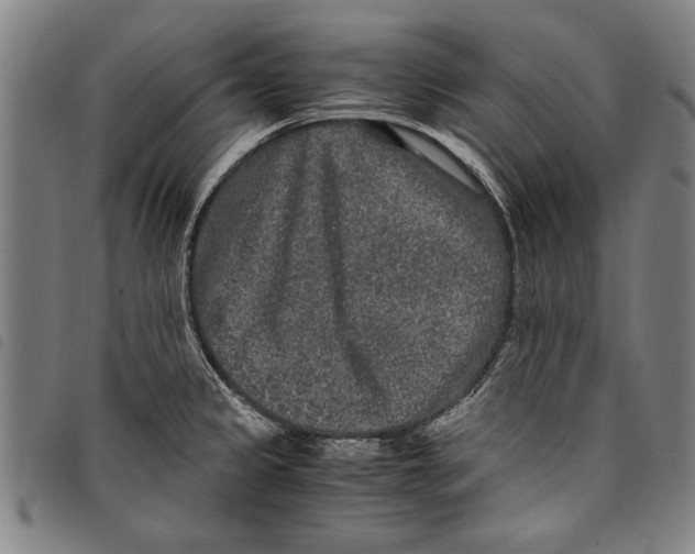 X0000097761333200804041117