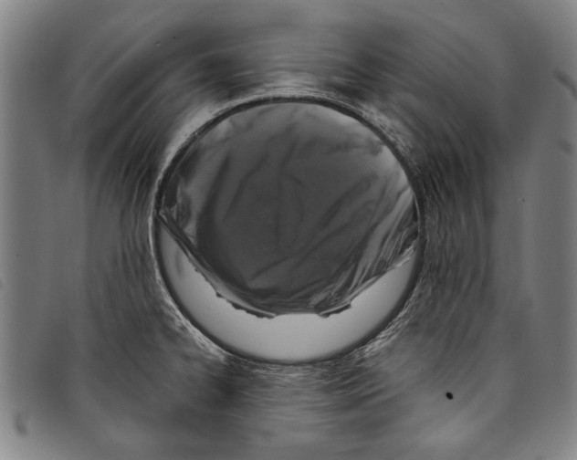 X0000097761334200804041117