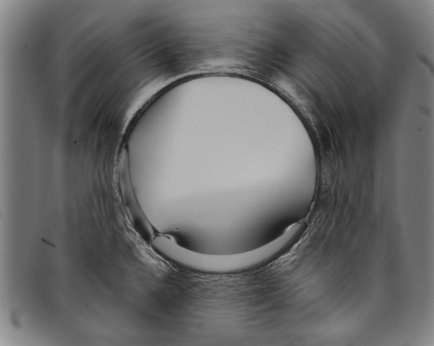 X0000097761336200804041117