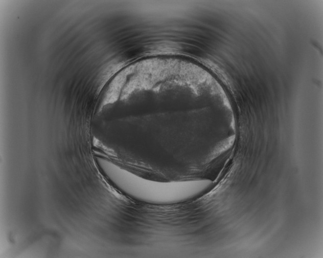 X0000097761337200804041117