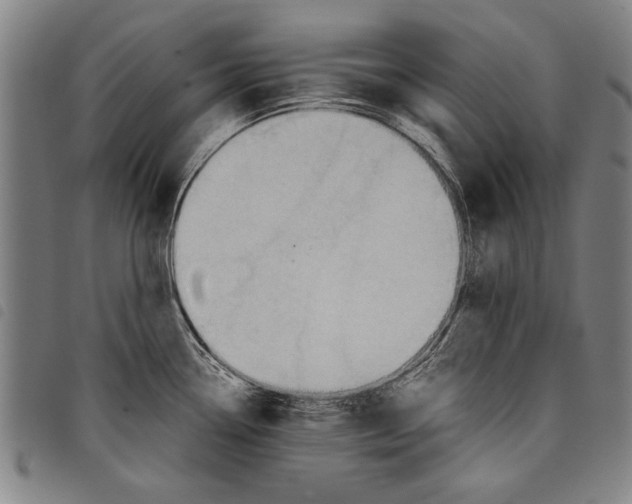 X0000097761338200804041117