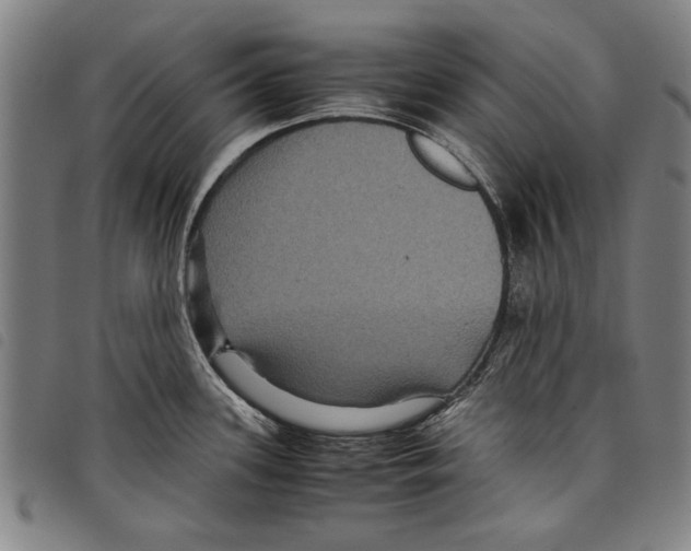 X0000097761339200804041117