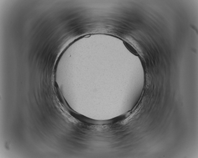 X0000097761340200804041117