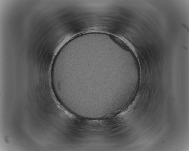 X0000097761341200804041117