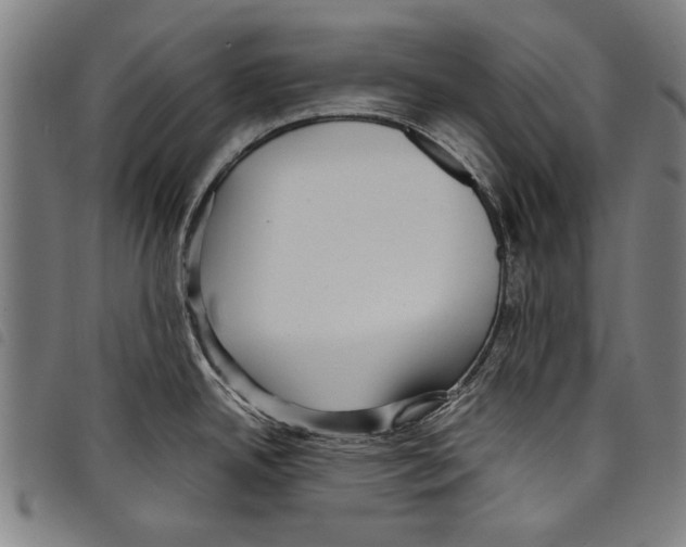 X0000097761342200804041117