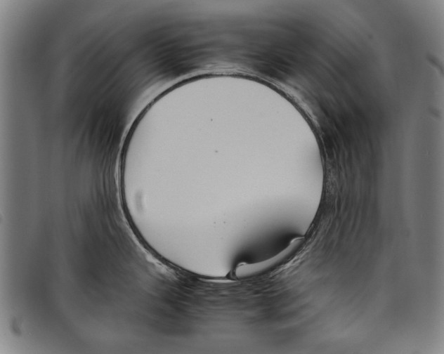 X0000097761343200804041117