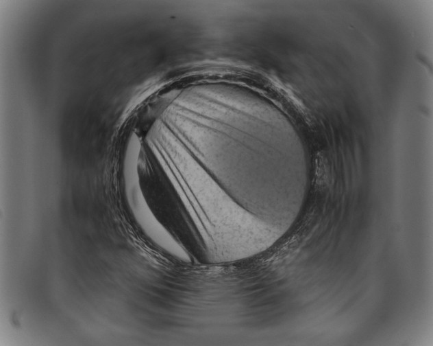 X0000097761352200804041116