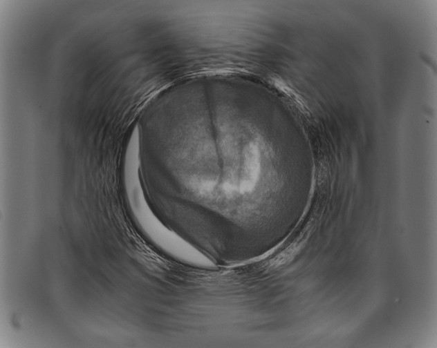 X0000097761353200804041116