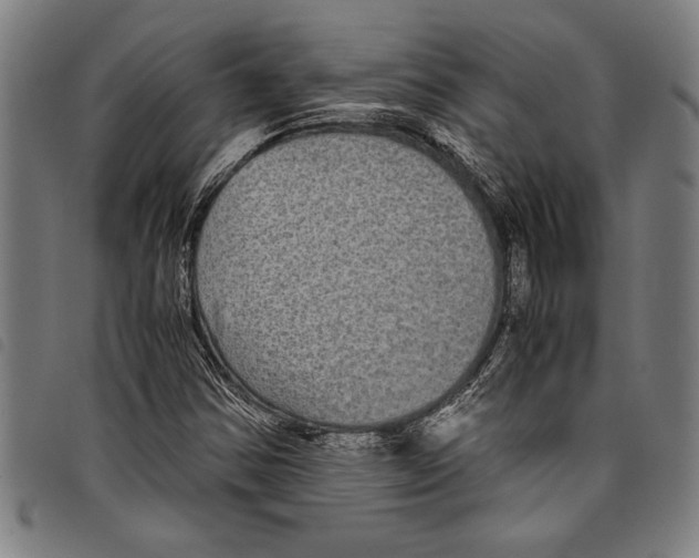 X0000097761354200804041116