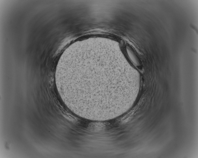 X0000097761355200804041116