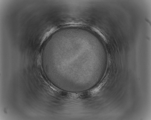 X0000097761357200804041116