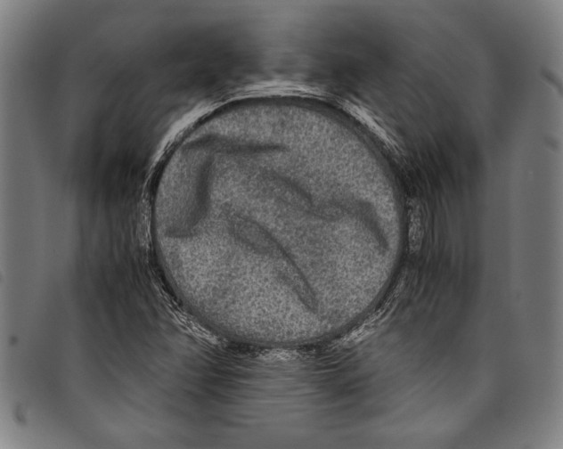 X0000097761358200804041116