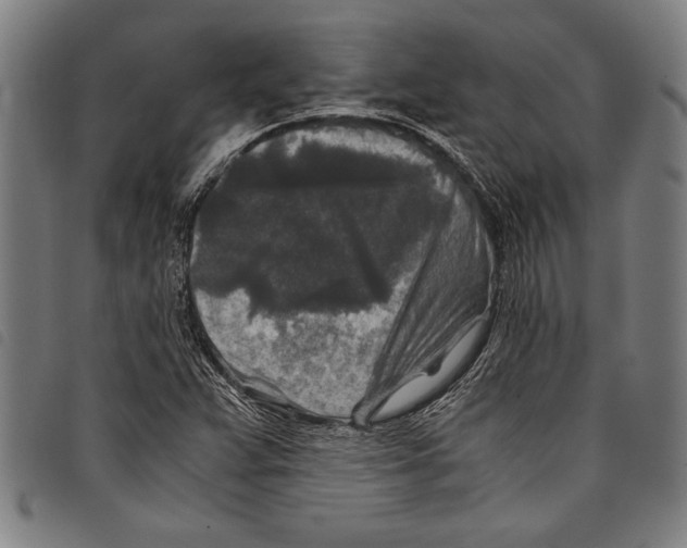 X0000097761359200804041116