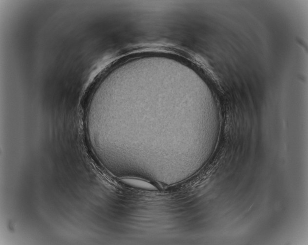 X0000097761360200804041116