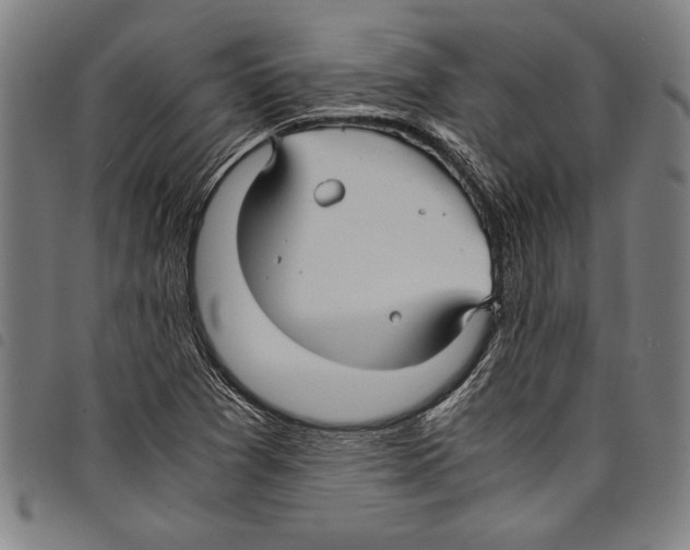 X0000097761361200804041116