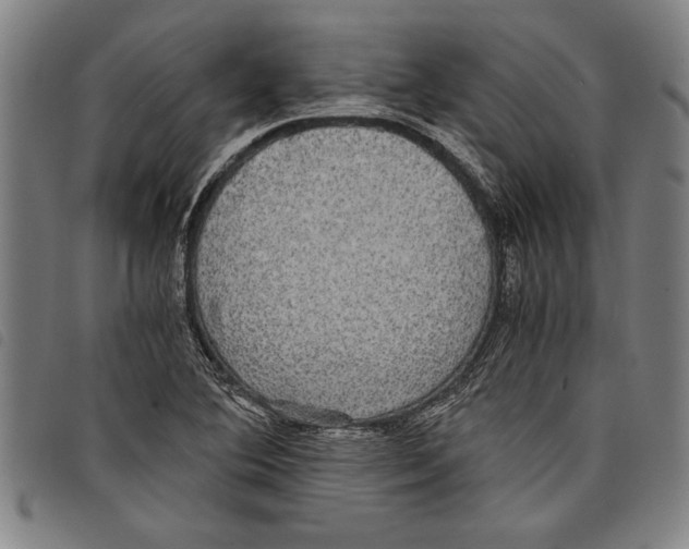 X0000097761364200804041116