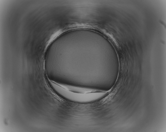 X0000097761365200804041116