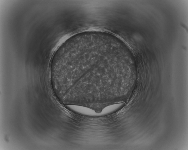 X0000097761367200804041116