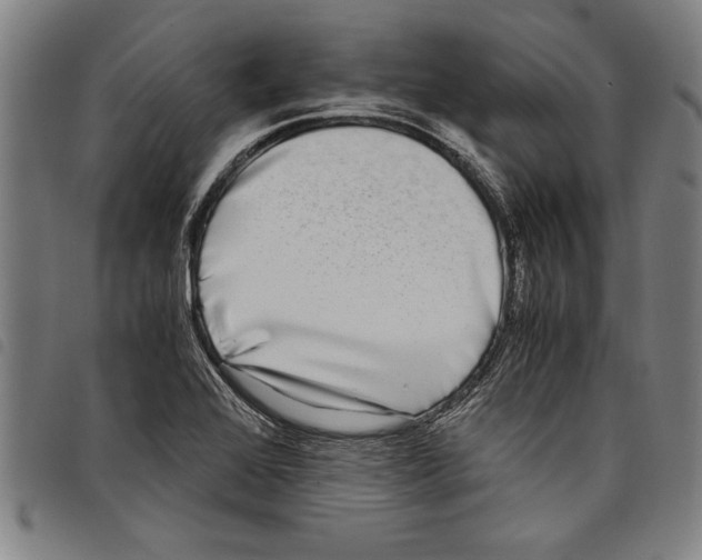 X0000097761368200804041116