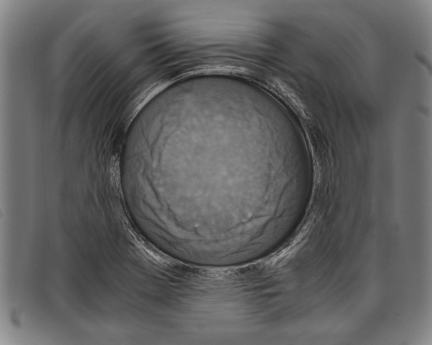 X0000097761369200804041116